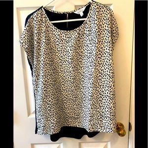 Leopard print high low top - Market and Spruce